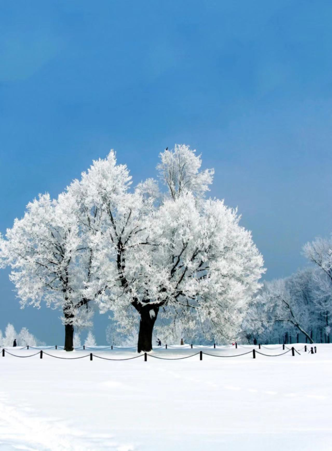 7438edd1e71549c7881751a77352967d.jpg 7438edd1e71549c7881751a77352967d.jpg