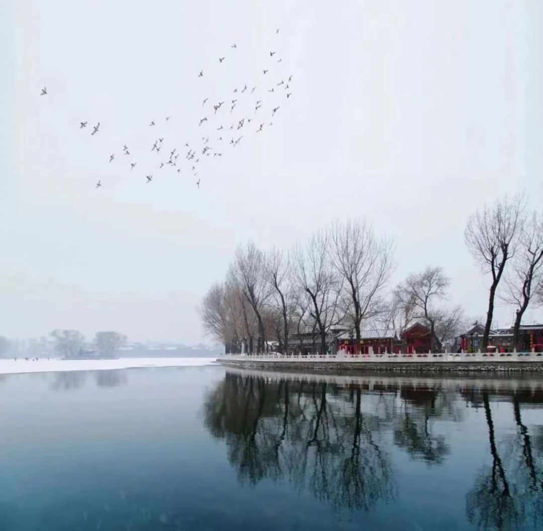 77ff993e6bc943c9bf149b25e7417fe4.jpg 77ff993e6bc943c9bf149b25e7417fe4.jpg